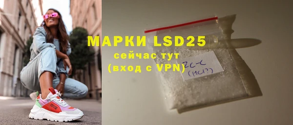ГАЛЛЮЦИНОГЕННЫЕ ГРИБЫ Рославль