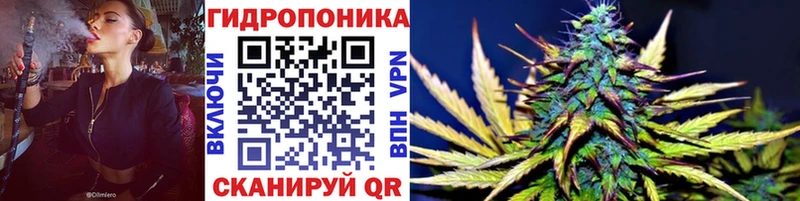 Бошки марихуана сатива  как найти   Сельцо 